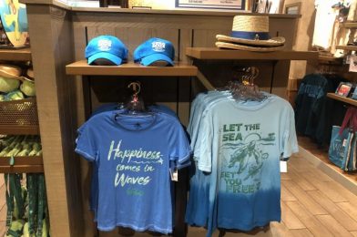 Merchandise Finds at Disney’s Vero Beach Resort