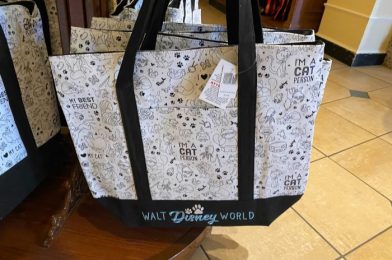 Adorable Disney Cats and Dogs Collection Spotted at Magic Kingdom