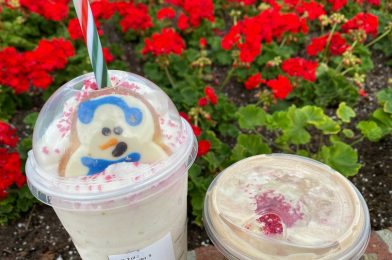 The Best Holiday Drinks at Disney Springs