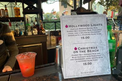 REVIEW – Brighten Up Your Holidays with the Holiday Lights Cocktail at Hollywood Studios