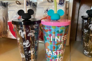 Unique Walt Disney World Merchandise Finds of the Week