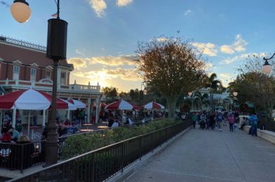 Marvelous Magic Kingdom Afternoon