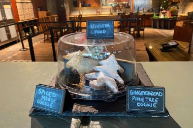 REVIEW – Which Holiday Sweets at Wilderness Lodge to Order and Which to Avoid