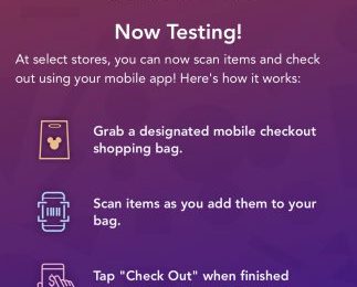 Mobile Checkout is a Welcome Convenience