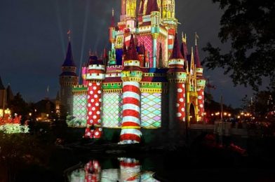 Magic Kingdom Castle Holiday Projections Are Simply Dreamy