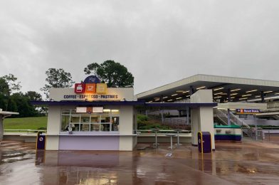 Where to Grab a Warm Beverage at Each Walt Disney World Theme Park