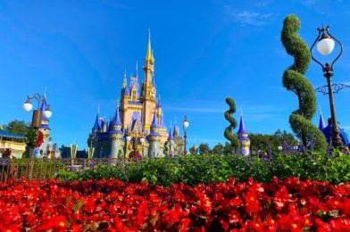 8 WEIRD Disney World Rules and Why They Exist