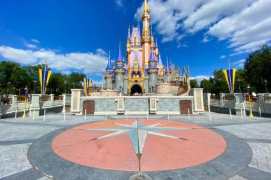 Disney World’s Senior Vice President of Operations Will Soon Be Retiring