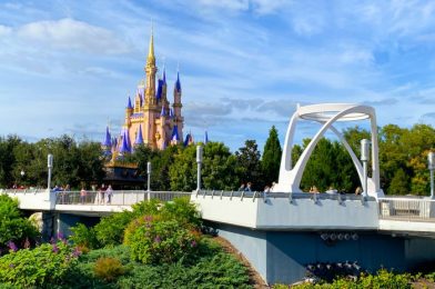 MORE Breakfast Offerings Are Coming to Magic Kingdom SOON!