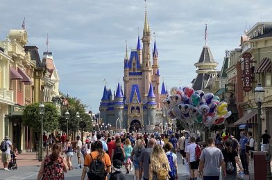 DVC Members Get 2 Free Theme Park Days with a Room Reservation and Ticket Purchase