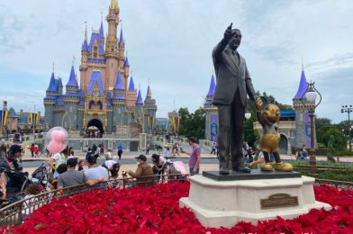 20 Photos And Videos From Our Day At Magic Kingdom!