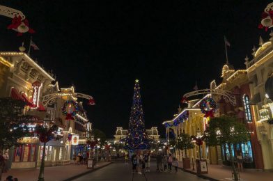 Tips for Visiting Walt Disney World During the Busy Two Weeks of Christmas