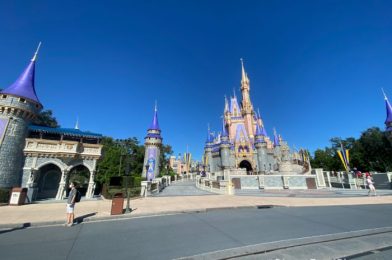 Tomorrowland Terrace Reopens in Magic Kingdom With Some Seafood Favorites!