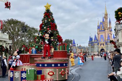 PHOTO REPORT: Magic Kingdom 11/30/20 (New Sorcerer Mickey Ears, Cinderella Castle Holiday Projections Merchandise, Cinderella Carriage To Stay Through New Year, Hot Cocoa, and More)