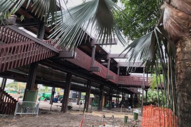 Polynesian Construction Impact Over Holiday 2020