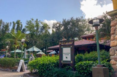 Everything You Need to Know About Relaxation Stations at Animal Kingdom