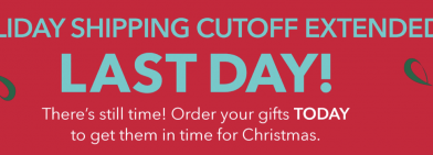 Offer Extended! TODAY Is the Last Day To Guarantee Your shopDisney Gifts Arrive By Christmas