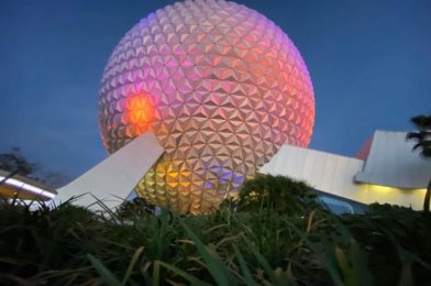 What’s New at EPCOT: A Restaurant Reopening, Gorgeous Ornaments, and Merchandise Sales!