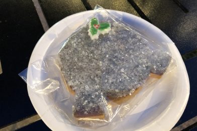 Should this Cookie Return to EPCOT for the 2021 Festival of the Holidays?