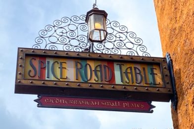 REVIEW & PHOTOS: EPCOT’s Spice Road Table Has Officially Reopened With a New Menu!