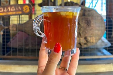 What’s New at Hollywood Studios: Boozy Spiced Surabat Cider, Minnie Ears Arrive, and Some Snack Updates!