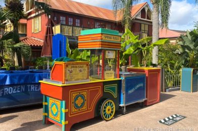 Disney World MENU UPDATE: Spring Roll Cart Adds Combo Option in Magic Kingdom