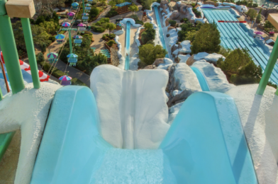 NEWS! We Now Know WHICH Disney World Water Park Will Reopen March 7, 2021!