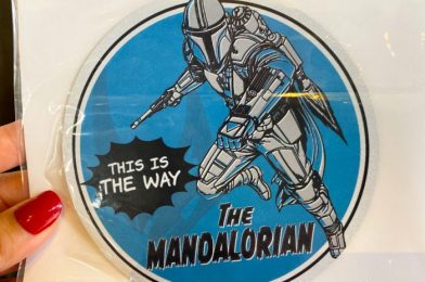 This is the Way…To A Very Cool Mandalorian Pin We Found At Disney World!