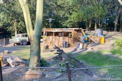 What’s New at Animal Kingdom: NEW National Geographic Masks and Kilimanjaro Mystery Building Update!