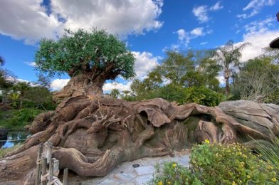 DFB Video: The Ultimate Guide to Disneys Animal Kingdom in 2021