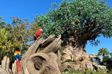 Disney World Extends Park Hours for the First Full Week in January