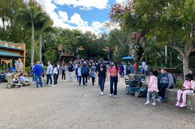 PHOTOS: There Are Some CRAZY LONG Lines for Attractions in Disney World Today!