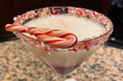 REVIEW: This Drink in Disney World Packs A Holiday Punch!