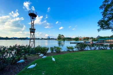 Oh Honey, Just No! Skip THESE Foods in EPCOT!