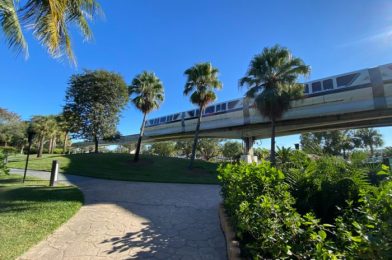 What’s New at Disney’s Monorail Resorts: A Yule Log, Ohana Bread Pudding Updates, and More!