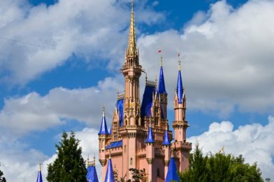 Disney World Park Hours and Park Pass Availability For the Week of December 6th