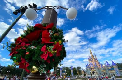 What’s New at Magic Kingdom: Glammed Up Minnie Ears, an Attraction Makeover, and Hot Beverages!