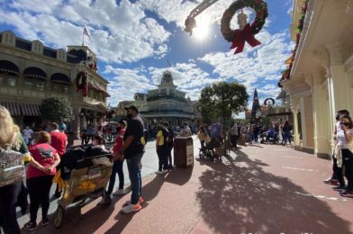 The Walt Disney World Railroad Queue is Poppin’ Even Though the Ride Has Been Closed for Two Years!