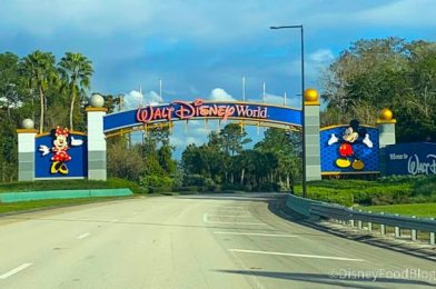 Disney World Adds MORE Park Pass Availability for Early January 2021!