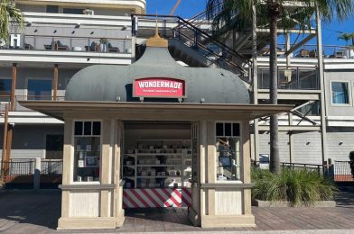 NEW Local Businesses Open at Disney Springs