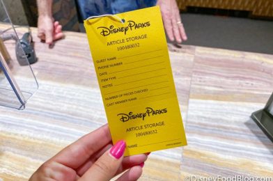 Shopping in Disney World Could Be WAY Easier Soon!