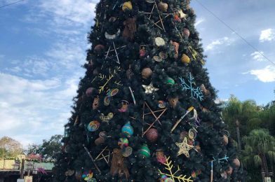 DISNEY PARK PICS: Animal Kingdom at Christmas