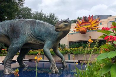 Best Ways to Enjoy Disney’s Animal Kingdom in the Rain