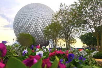 What’s New at EPCOT: Construction Updates, Merchandise Mobile Checkout, and Newsworthy Pins!