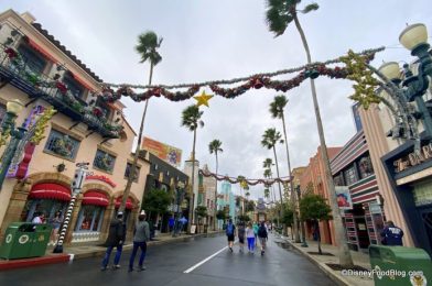 Uhm…We Found an Interesting Looking Treat in Disney World Today