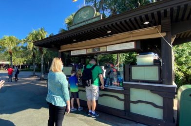 Review: New — And HUGE! — Candy Cane DONUT in Disney World