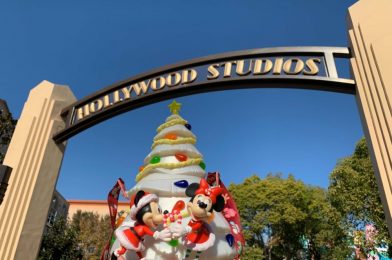 PHOTOS: New Light-Up Mickey & Minnie Christmas Tree Popcorn Bucket Arrives at the Disneyland Resort