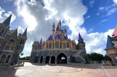 13 Disney World Splurges That…Aren’t…Really…Worth It.