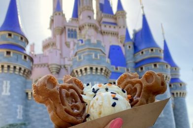 They Can’t All Be Winners! 3 of Disney World WORST Food Fails!