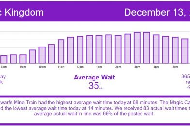 Annual Passholders Have Their Final Weekend of Access in 2020 – Disney World Wait Times for Sunday, December 13, 2020.